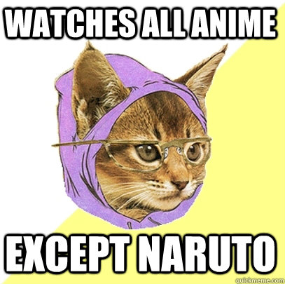 watches all anime except naruto  Hipster Kitty