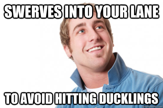swerves into your lane  to avoid hitting ducklings   Misunderstood Douchebag