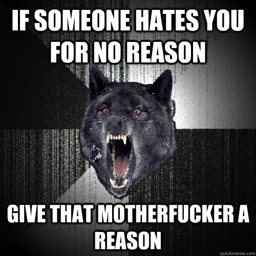If someone hates you for no reason give that motherfucker a reason  Insanity Wolf