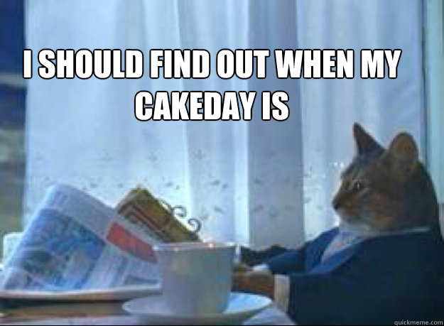 i should find out when my cakeday is  - i should find out when my cakeday is   I should buy a boat cat