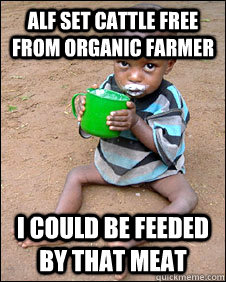 ALf set cattle free from organic farmer i could be feeded by that meat  