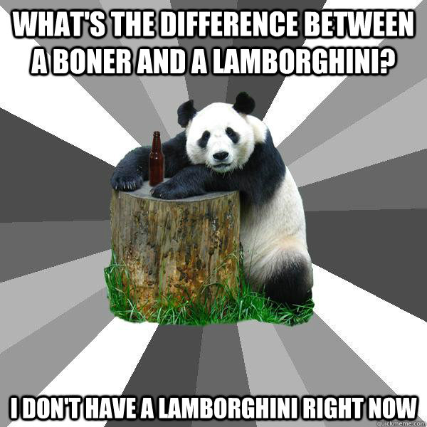 WHAT'S THE DIFFERENCE BETWEEN A BONER AND A LAMBORGHINI? I DON'T HAVE A LAMBORGHINI RIGHT NOW  Pickup-Line Panda