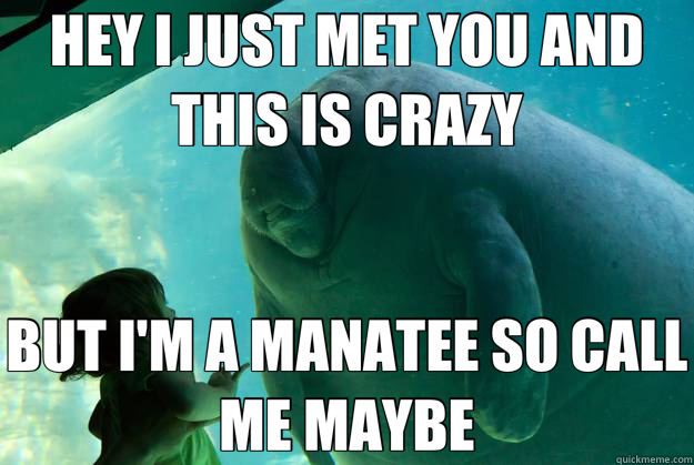 HEY I JUST MET YOU AND THIS IS CRAZY BUT I'M A MANATEE SO CALL ME MAYBE  Overlord Manatee