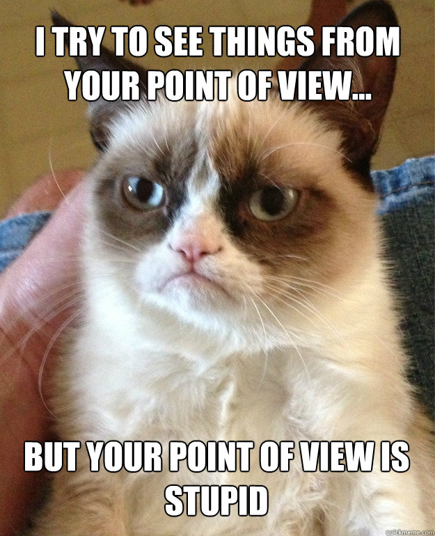 i try to see things from your point of view... but your point of view is stupid - i try to see things from your point of view... but your point of view is stupid  Misc