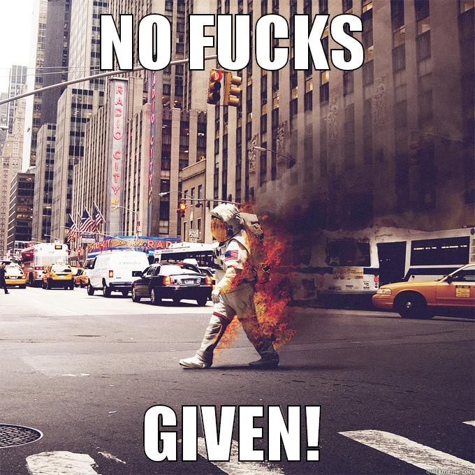 NO FUCKS GIVEN! Success Kid