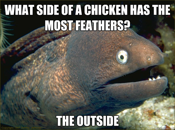 what side of a chicken has the most feathers?
 the outside  Bad Joke Eel