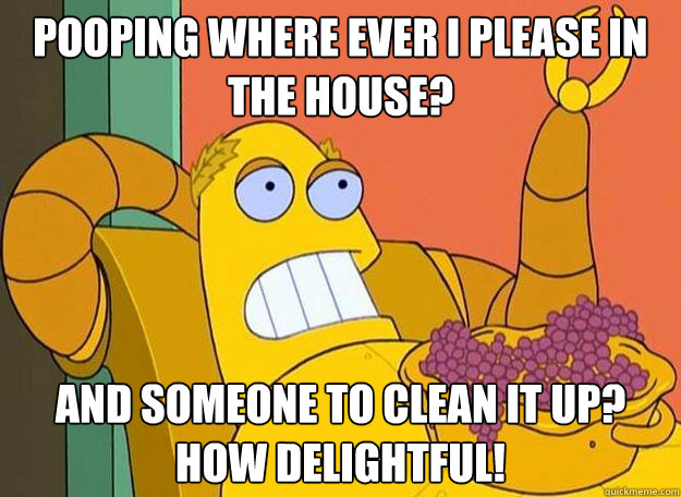 Pooping where ever I please in the house? And someone to clean it up? How delightful!  Hedonism Bot