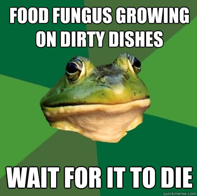 food fungus growing on dirty dishes wait for it to die  Foul Bachelor Frog