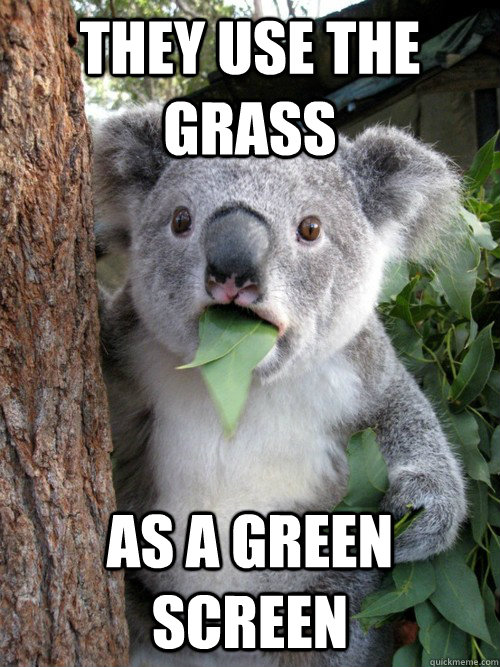 they use the grass as a green screen - they use the grass as a green screen  Amazed Koala