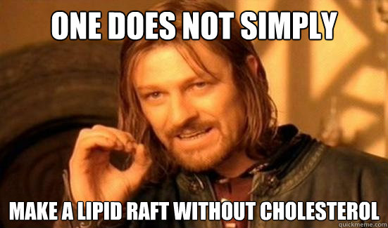 One Does Not Simply make a lipid raft without cholesterol  Boromir