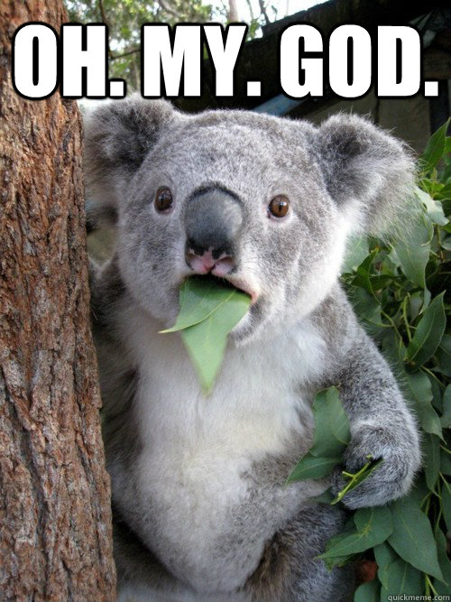 Oh. My. God.  - Oh. My. God.   Surprised Koala