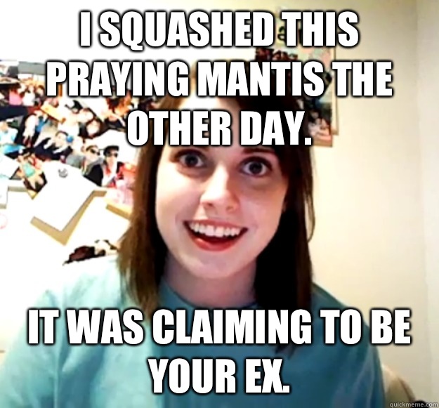 I squashed this praying mantis the other day. It was claiming to be your ex.  Overly Attached Girlfriend