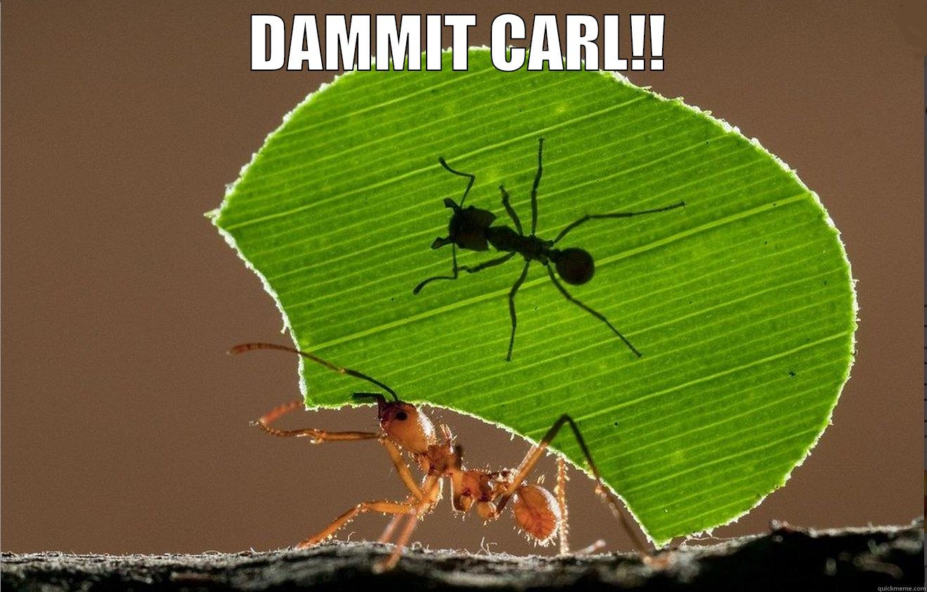 DAMMIT CARL!!  Misc