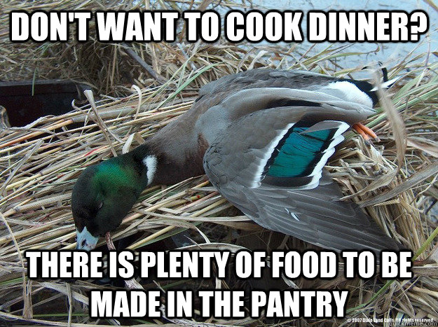 Don't want to cook dinner? There is plenty of food to be made in the pantry  Worthless Advice Mallard