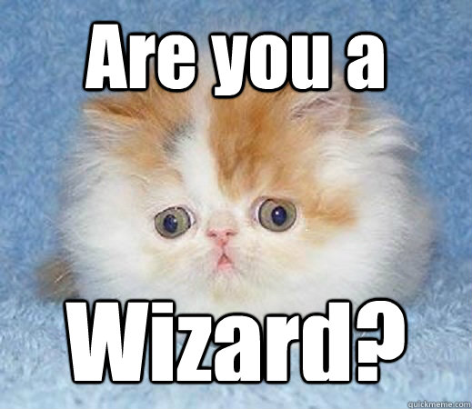 Are you a  Wizard? - Are you a  Wizard?  Loss of Innocence Cat