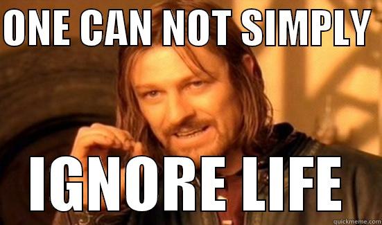 ONE CAN NOT SIMPLY  IGNORE LIFE Boromir