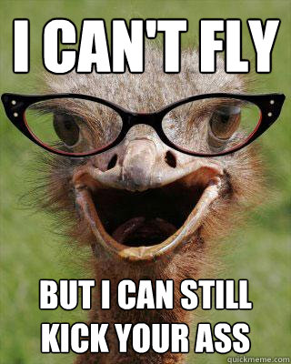 I can't fly but I can still kick your ass - I can't fly but I can still kick your ass  Judgmental Bookseller Ostrich