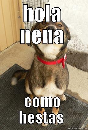 hola nena  - HOLA NENA COMO HESTAS  Good Dog Greg