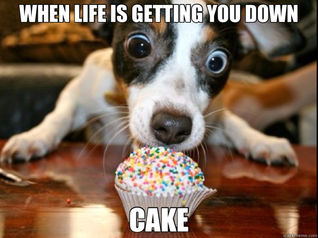 WHEN LIFE IS GETTING YOU DOWN CAKE  cake dog