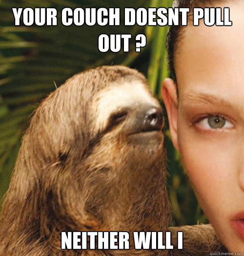 Your couch doesnt pull out ? Neither will I  Whispering Sloth