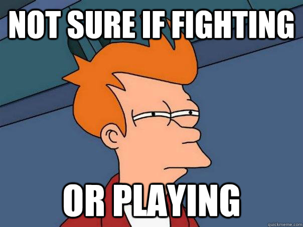 Not sure if fighting or playing - Not sure if fighting or playing  Futurama Fry