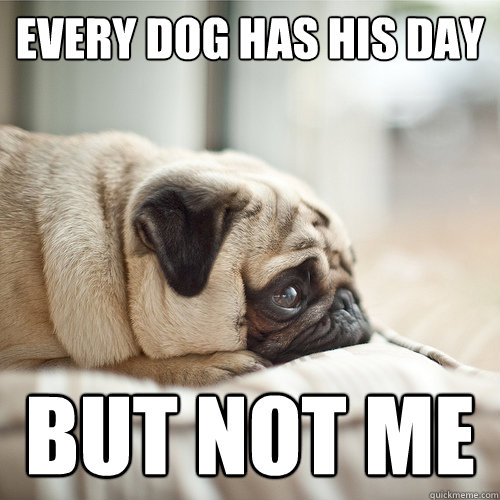 every dog has his day but not me  