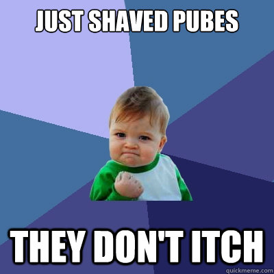 just shaved pubes they don't itch  Success Kid