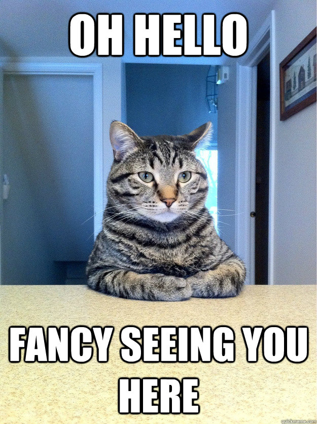 Oh hello Fancy seeing you here  Chris Hansen Cat