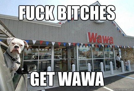 Fuck Bitches Get wawa - Fuck Bitches Get wawa  Wawa Dog