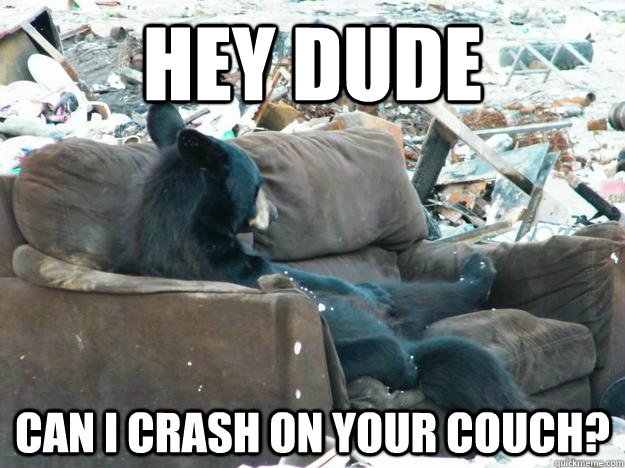 Hey dude can i crash on your couch?  