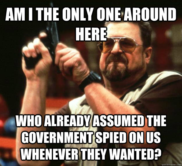 AM I THE ONLY ONE AROUND HERE Who already assumed the government spied on us whenever they wanted? - AM I THE ONLY ONE AROUND HERE Who already assumed the government spied on us whenever they wanted?  Angry Walter