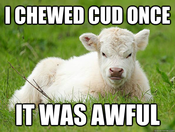 I chewed cud once it was awful  Grumpy Cow