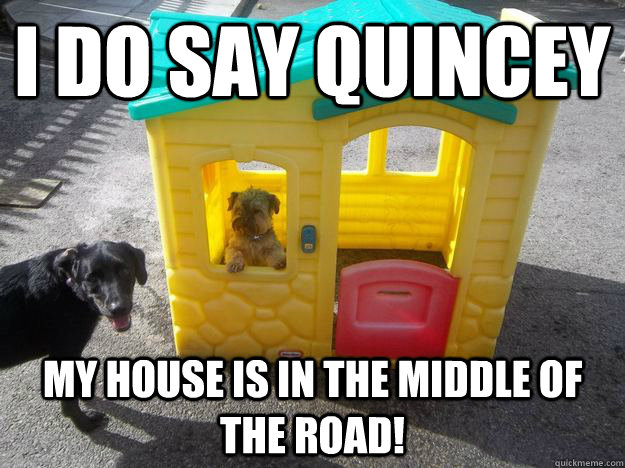 I do say quincey my house is in the middle of the road!  Upper Class White Dog