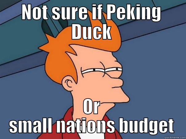 Peking Duck - NOT SURE IF PEKING DUCK OR SMALL NATIONS BUDGET Futurama Fry