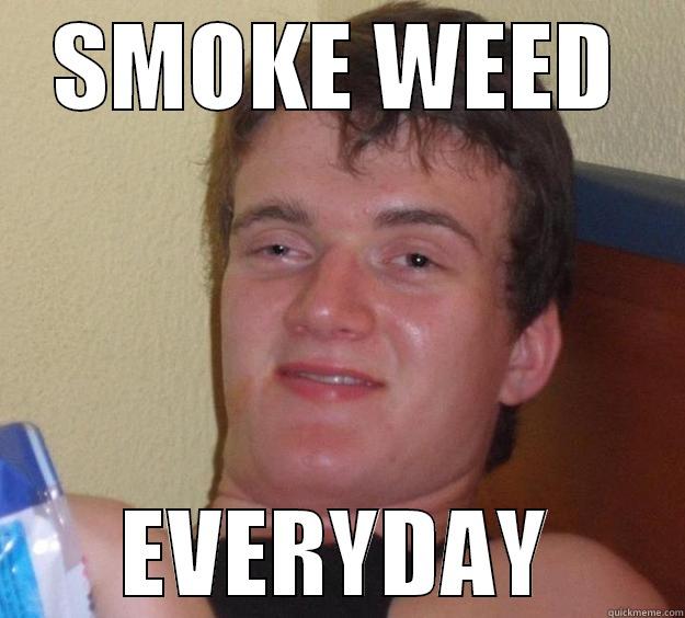 SMOKE WEED EVERYDAY 10 Guy