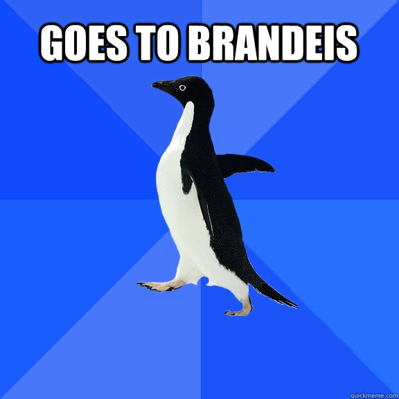 Goes to brandeis   Socially Awkward Penguin