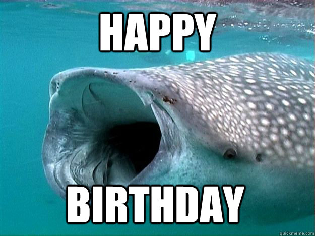 HAPPY Birthday  scumbag whale shark