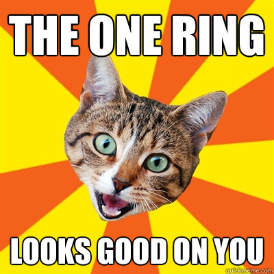 the one ring looks good on you - the one ring looks good on you  Bad Advice Cat