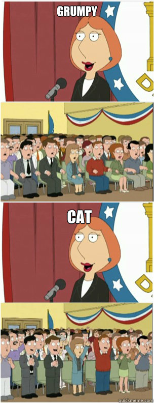 GRUMPY CAT - GRUMPY CAT  911 lois