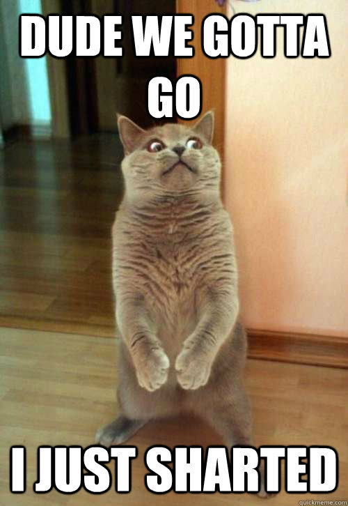 dude we gotta go i just sharted  Horrorcat