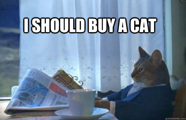 I should buy a cat  Sophisticated Cat