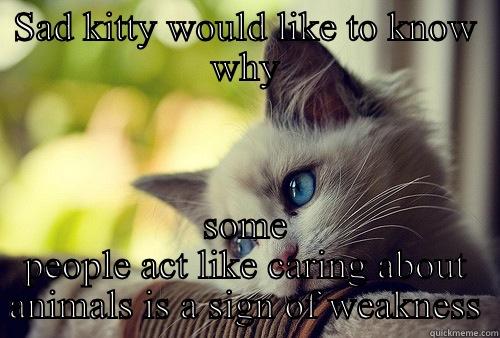 SAD KITTY WOULD LIKE TO KNOW WHY SOME PEOPLE ACT LIKE CARING ABOUT ANIMALS IS A SIGN OF WEAKNESS First World Problems Cat