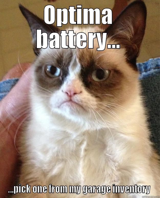 OPTIMA BATTERY... ...PICK ONE FROM MY GARAGE INVENTORY Misc