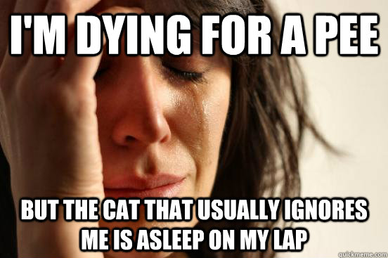 I'm dying for a pee but the cat that usually ignores me is asleep on my lap  First World Problems