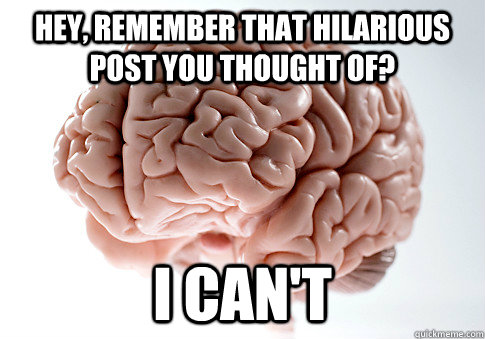 hey, remember that hilarious post you thought of? I can't  Scumbag Brain