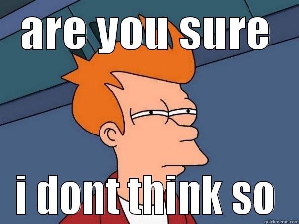 ARE YOU SURE I DONT THINK SO Futurama Fry