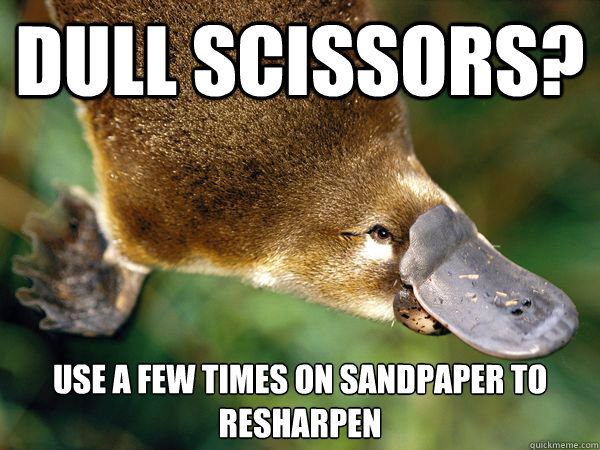 dull scissors? use a few times on sandpaper to resharpen - dull scissors? use a few times on sandpaper to resharpen  Protip Platypus
