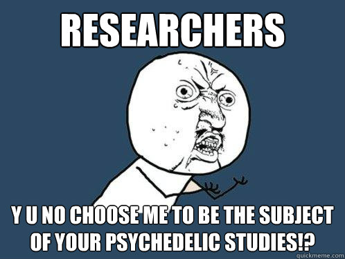 researchers y u no choose me to be the subject of your psychedelic studies!?  Y U No