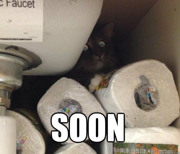  SOON -  SOON  EVIL SOON CAT
