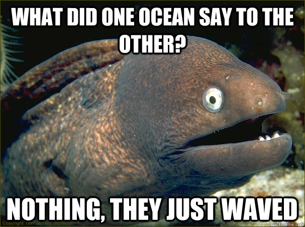 What did one ocean say to the other? Nothing, they just waved  Bad Joke Eel